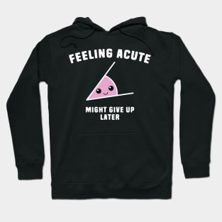 Funny Angle Math Pun Hoodie